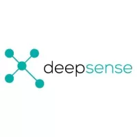 Deepsense Digital helped Cavins in Achieving Better ROI