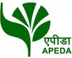 APEDA approves 500 startups to promote export of agricultural products