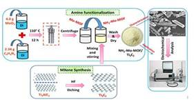 INST, Mohali researchers discover unique nanopolymer low-cost efficient sensor