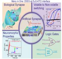 Indian scientists adopted a new approach by following the working principle of the human brain